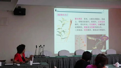 北京企業技術開發研究會 推動技術創新，打造先進集體典范