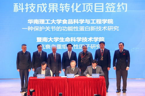 科技驅動發展，健康引領未來——技術創新如何重塑健康產業